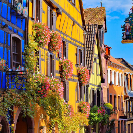 terres de création - agence voyage et tour opérateur alsace Bassin Rhénan