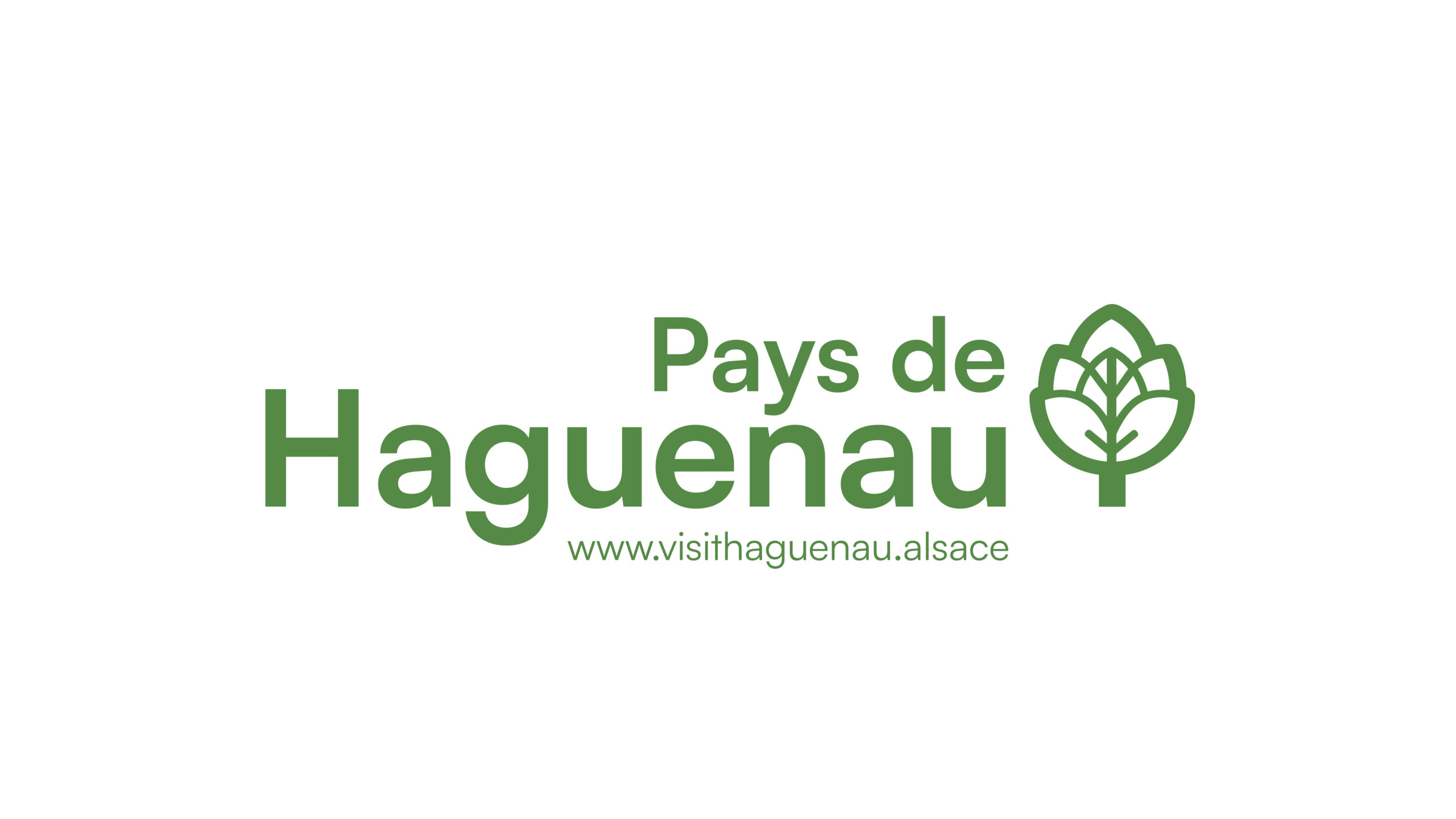 HAGUENAU