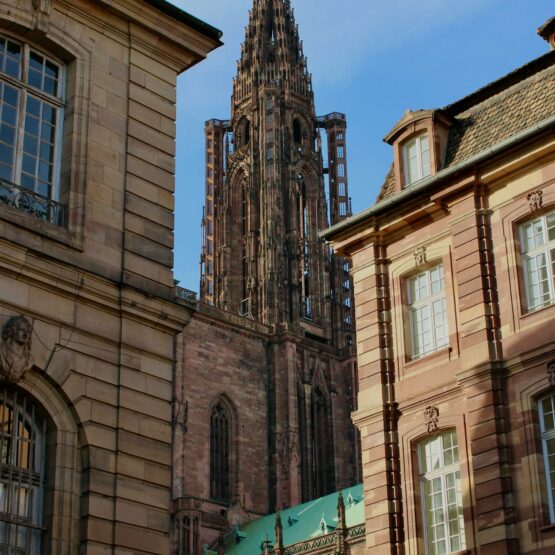terres de création - agence voyage et tour opérateur alsace